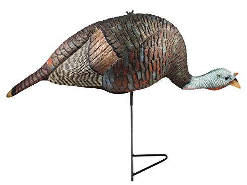 THE GRIND Bugging Hen Decoy | Realistic Hen Turkey Decoy with 2-Piece Motion Stake
