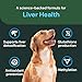 VetriScience Veterinary Strength Liver Health Chews - Canine Liver Care Supplement for Detox Support - Dog Supplement - Supports Immune System - No Fasting Required - 60 Count