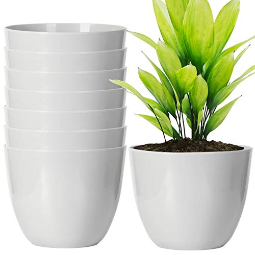 youngever 8 pack 5.5 inch