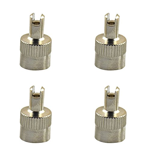 Benbw 8Pcs/Lot Copper Slotted Slot Valve Cap With Valve Core Remover,Tire Valve Air Dust Cover Stem Cap #TOP7