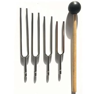 Dickly Ensemble de 4 diapasons avec dispositif d’accordage à maillet, accordeur Standard pour la pratique du chant en classe, styler un - Les Beatles, Paul McCartney, John Lennon, RIngo Starr, George Harrison Dickly Ensemble de 4 diapasons avec dispositif d'accordage à maillet, accordeur Standard pour la pratique du chant en classe, styler un – Image 3