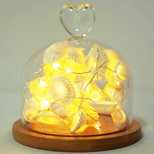 Cynzia Natural Seashells String Lights, 40Led Beach Decoration Lights Usb Plug In With 8 Modes Remote Control, Waterproof Ocean Fairy Lights For Bedroom Party Indoor Outdoor Wedding Holiday Christmas #TOP2