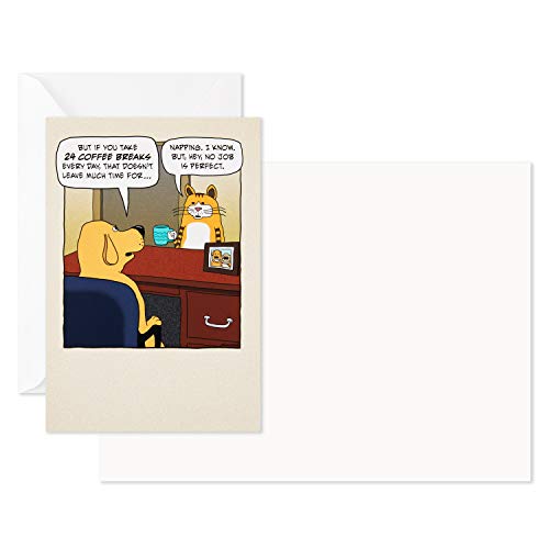 Hallmark Shoebox Funny Blank Cards Assortment (12 All Occasion Cards With Envelopes) #TOP28