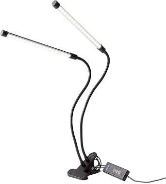 Lakeside Dual LED Desk Lamp with Clamp
