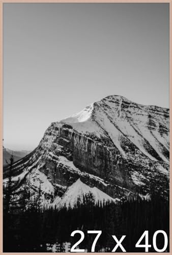 Frame It Easy 27 x 40 Rose Gold Metal Frame (Ashford)