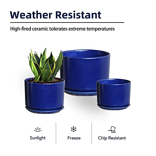 Efispss Ceramic Plant Pots, 4+5+6 Inch, White Round Ceramic Planters Set Of 3 Succulent Planters With Drainage Tray Plants… #TOP2