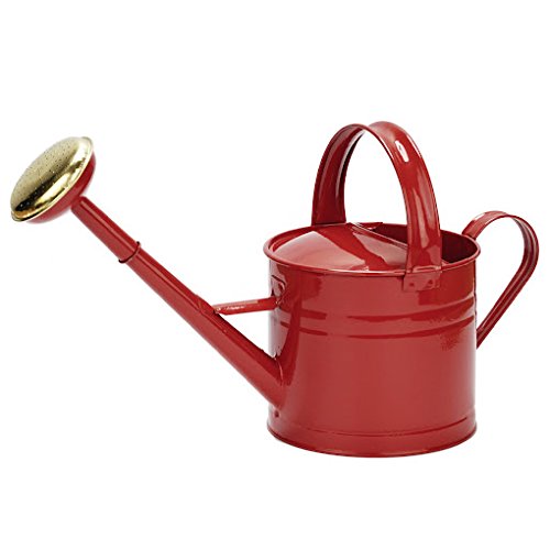 Amazon | 花ごころ じょうろ ブリキウォータリングカン4L レッド