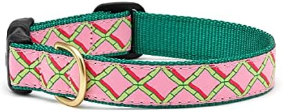 Up Country Coral Gables Dog Collar, X-Small (6 to 12 inches) 5/8 ...