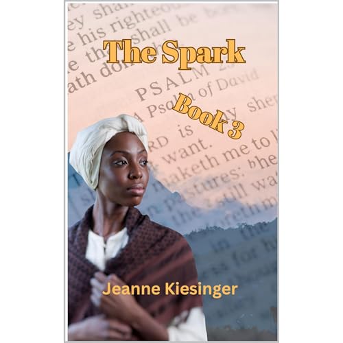 The Spark: Book 3 Audiolibro Por Jeanne Kiesinger arte de portada