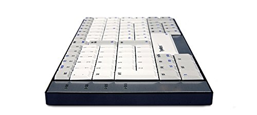 TypeMatrix EZR-2030　キーボード Amazon.com: ACP Typematrix 2030 USB Ez Reach US Ergo Keyboard