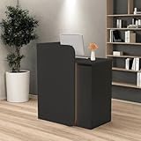 HEOTJUUQ Modern Reception Desk with Curved Privacy Panel & LED Light Strip, Lockable Drawers, 6 Color Options Front Counter Desk, Retail Checkout Counter for Salon, Office, Boutique(Black)