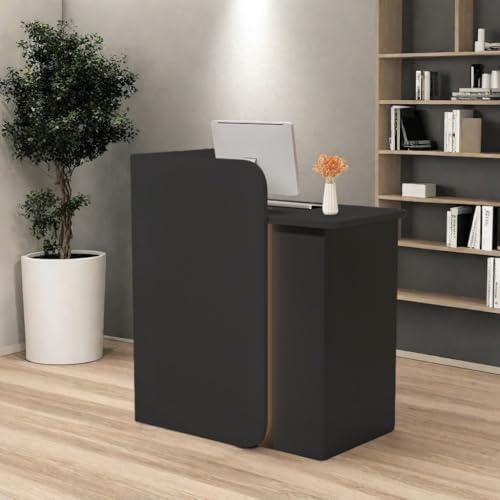 HEOTJUUQ Modern Reception Desk with Curved Privacy Panel & LED Light Strip, Lockable Drawers, 6 Color Options Front Counter Desk, Retail Checkout Counter for Salon, Office, Boutique(Black)