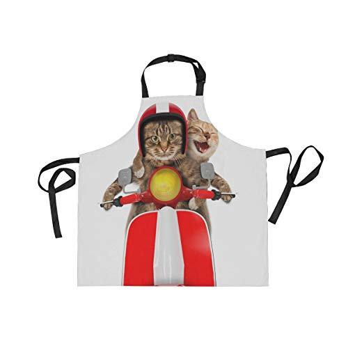 [Akiraki] Gv H^ p fB[X Y jp JtFGv Lb`Gv  L lR 킢  zCg O| O dp ۈm Ɩp ƒp  t[TCY |Pbgt