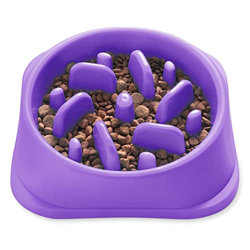NOYAL Slow Feeder Dog Bowls Puzzle Anti-Gulping Interactive Bloat Durable ...