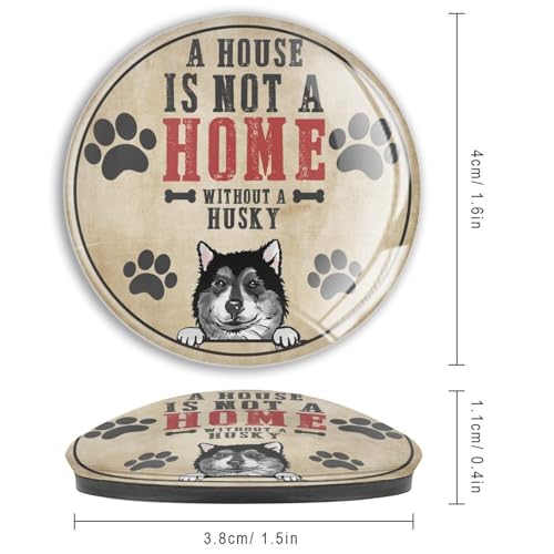 Imanes de cristal de husky que transforman tu nevera en un hogar 4