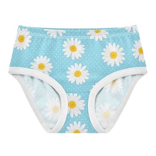 Florals Girls Underwear Toddlers 2t Cotton Little Girl Panties White Daisies Blue White Dots Briefs Undies Kids