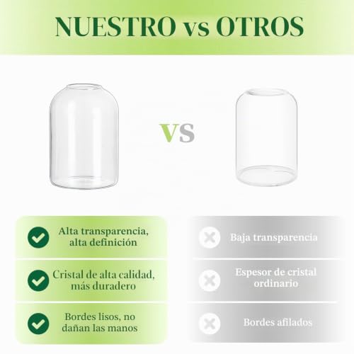 Jarrones de cristal pequeños estables para evitar caídas de flores en mesas 6