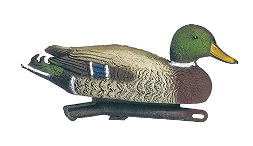 Europ Arm Appelant Canard Colvert Male