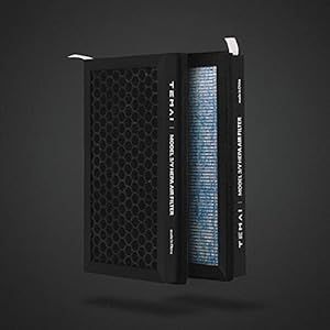 TEMAI Tesla Model 3/Y HEPA N98 Grade Activated Carbon Air Filter (with Model 3 and Model Y removal tools)