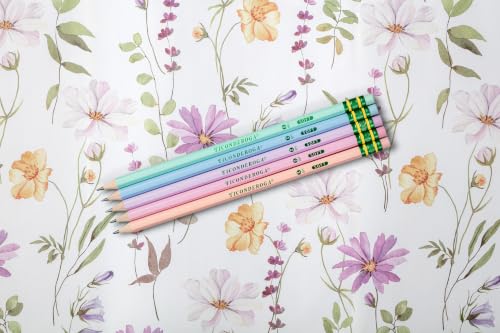Ticonderoga® Pastel Pencils, 2 Soft, Assorted Colors, Pack Of 10 Pencils