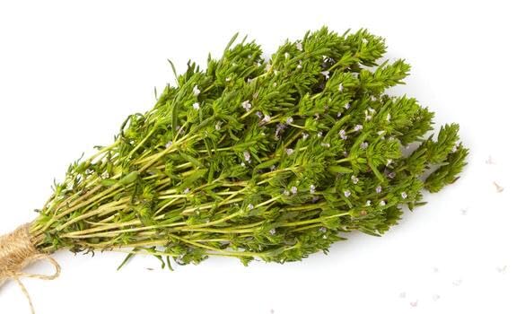 Organic Thyme Bunch