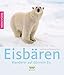 Produktbild Eisbären: Wanderer auf dünnem Eis