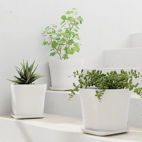 Image of StyleX Store Pack of 3 Square Plastic Flower Pot with Tray | Modern Indoor Outdoor Planter for Home Balcony Garden Office | Durable Lightweight Planter Pot | 6 Inch, White