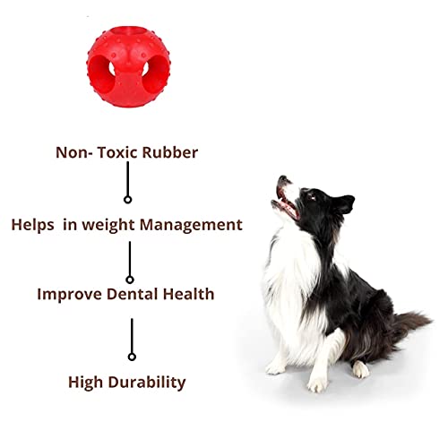 Image of Foodie Puppies Dog Rubber Chew Toy Combo (Spike Ball Toy + Hole Ball Toy) - Color May Vary