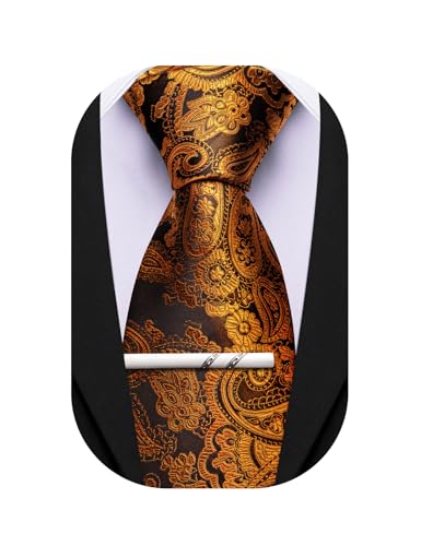 Image of Barry.Wang Paisley Tie for Men Silk Woven Necktie and Tie Clip Set Wedding Party Business Formal