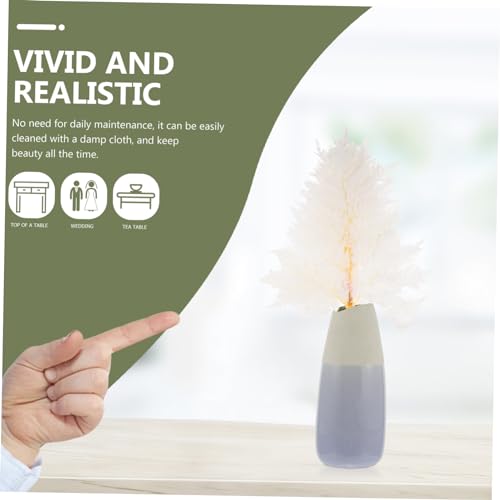 Ramo de helechos secos naturales para decoración miniatura 5