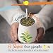 Imagen de ORIGEENS YERBA MATE ECOLÓGICO LIMÓN JENGIBRE 200g