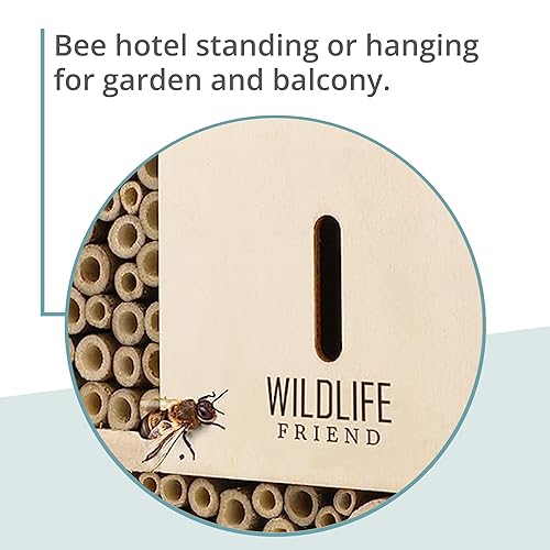 Wildlife Friend I Bee Hotel Insect Hotel - 29.5 x 28 x 10 cm - untreated, Solid Wood bee House for Bees, Ladybugs & lacewings - Hanging Insect House & Nesting aid - Image 6