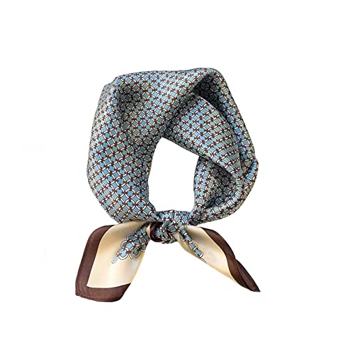 Tim & Tina Square 100% Mulberry Silk 21'' x 21'' Hair Scarf Head Sleeping Wrap Satin Head Scarf for Women (S20 Light Blue Circle)