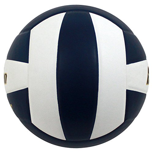 Image of Baden | Perfection | Premium Leather | Indoor Official Game Volleyball | 13U to College | Official Size + Weight | NFHS + AVCA Approved
