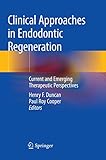 Clinical Approaches in Endodontic Regeneration: Current and Emerging Therapeutic Perspectives