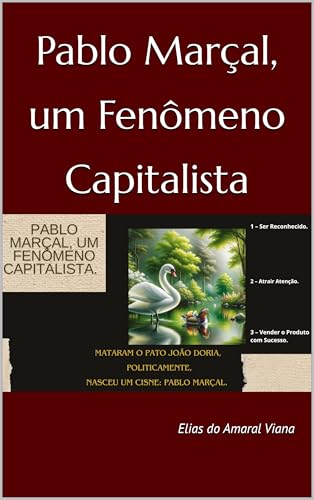 Pablo Marçal, um Fenômeno Capitalista