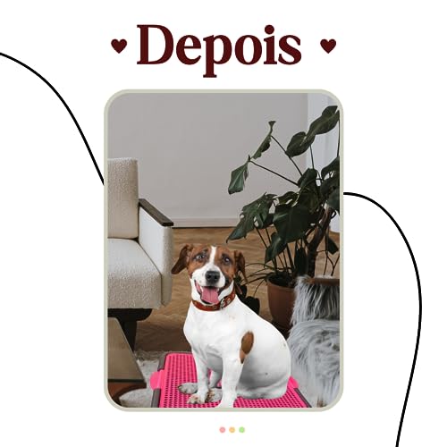 MY PET BRASIL Sanitário para Cachorros, Sanitário Higiênico para Cães, Xixi Dog, sanitário canino Ro