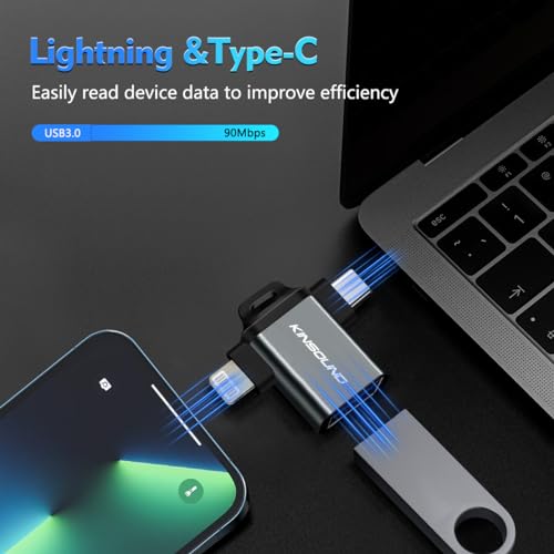 Image of Kinsound USB OTG (Grey 2 in 1 OTG Adapter)