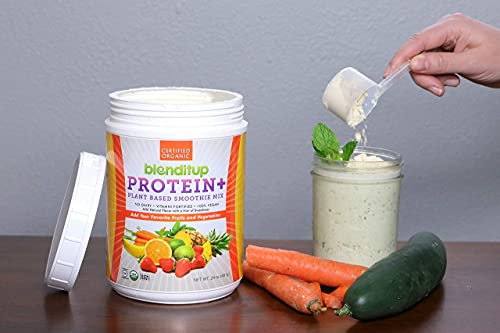 Organic Vegan Protein Smoothie Mix | Mild Natural Flavor With A Hint Of Sweetness | Make Your Smoothie A Complete Meal | Gluten Free, Usda Organic Certified, Ksa Kosher, Non-Gmo W/ Ancient Grains & Vitamins | 24 Oz By Blenditup #TOP6