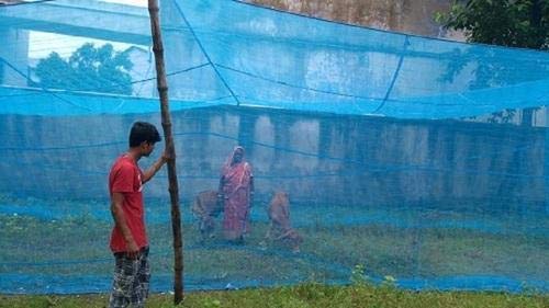 TOYDIRECT HDPE Animal Mosquito Nets for Cow/Buffalo (30x15x10 FT) (B084HHYBNP) Amazon Price History, Amazon Price Tracker
