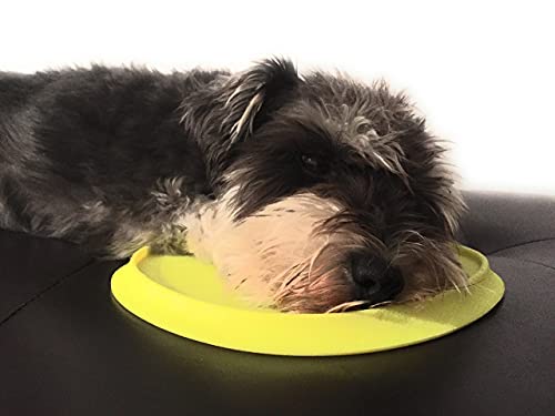 Forty Sycamore! Flying Dog Frisbee Lightweight Material Perfect for Small Dog Breeds and Pets | Interactive Flying Disc for Pups 7”, Yellow Forty Sycamore! Flying Dog Frisbee Lightweight Material Perfect for Small Dog Breeds and Pets | Interactive Flying Disc for Pups 7”, Yellow