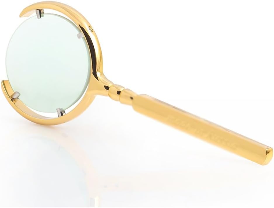 JSEIAJB Handheld Magnifier Magnifier Reading Magnifying Glass for Reading Book Inspection Coins Map(White-Dinosaur Doodle4)