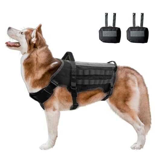 Tactical Dog Vest No Pulling Reflective and Top Handle. Tactical Dog Harness with Pouches Military Molle Style. Top Loop Panel On Top for Patches. K9 Working Dog Vest Easy Control Dog (Small, Purple)