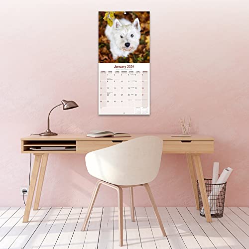 West Highland Terrier Calendar 2024 Square Dog Breed Wall Calendar - 16 Month - Image 4