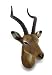 Zeckos African Antelope Head Bust Hanging Wall Sculpture