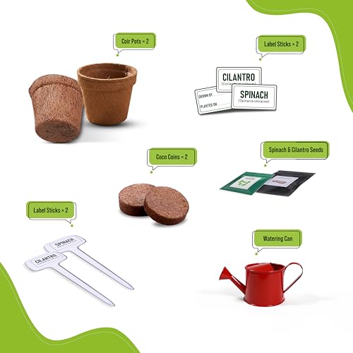 Image of Kids Gardening Kit for Age 3-7 | My First Kitchen Garden DIY Plant Growing Kit | Educational Science Toy for Kids | Complete Gardening Set with Seeds, Tools & Pots | Gift for Boys & Girls