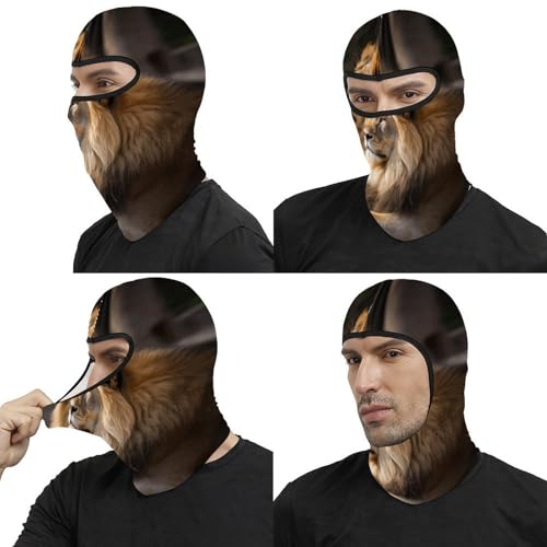 Máscara de esquí Two Lions para hombre, balaclava facial completa, transpirable, suave, resistente al viento, para bicicleta, conducción y montañismo miniatura 5