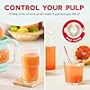 DASH Citrus Juicer, Dual Citrus Cones, 20 fl. oz. Capacity, 25 Watts