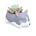 Cuteforyou Cute Animal Shaped Cartoon Home Decoration Succulent Vase Flower Pots (Husky)