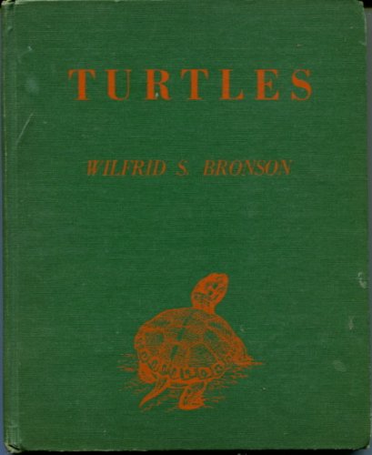 Turtles